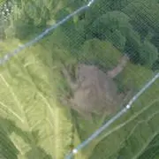 kamesonの画像