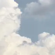 rの画像