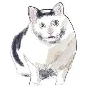 人外の画像