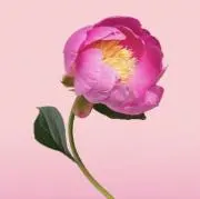 marori♡の画像