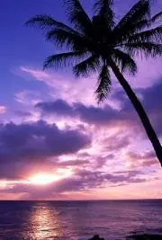 Ｆ