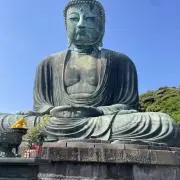 てんじくの画像