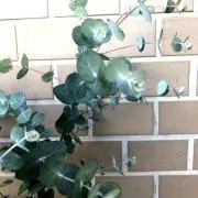 h.rtszの画像