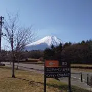 ささくんの画像