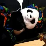 ろしお♪