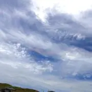 Miyuuの画像