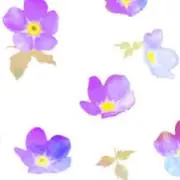 山吹@出品1ヶ月前即購入✕/発送→の画像