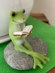 がじゅまるの画像