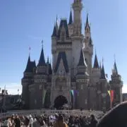 みの画像