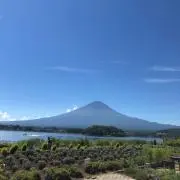 コウジの画像