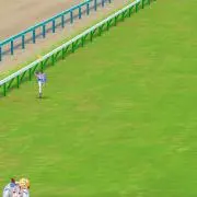 おでん