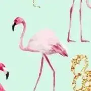 おもちの画像