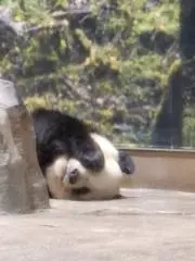 ユミミカの画像