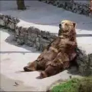 りたの画像