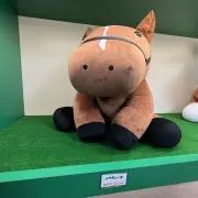 yukiの画像