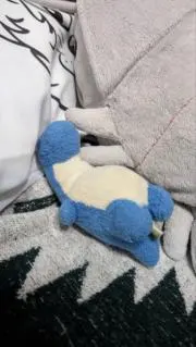ꪔ̤̮の画像