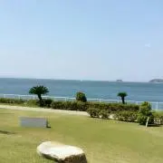 みぃ