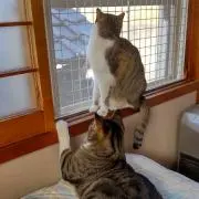 CandMの画像
