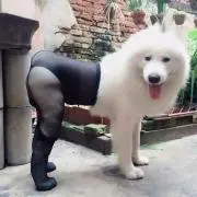 田中