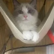 ヒロ