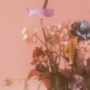 Yama【8/15･8/16発送不可】の画像