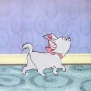 mayaの画像