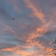 ささみの画像