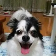 太郎の画像