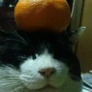 mebachikoの画像