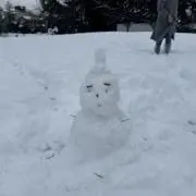 yoooopyy__の画像
