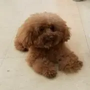 ぎょぎょ　まとめ買い歓迎の画像