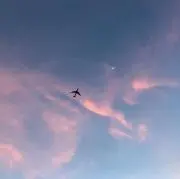 まるの画像