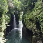 おかんの画像