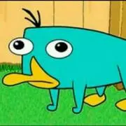 ペリーの画像