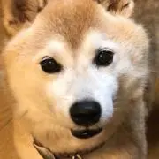 Matsuoka