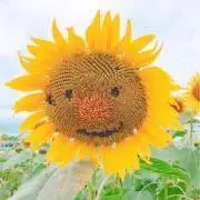 とらきちの画像