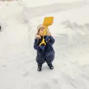 かるかんの画像