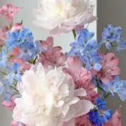 らんの画像