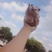 ゆ