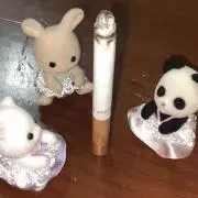 ＾＾