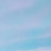 きなこの画像