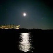 Puameliaの画像