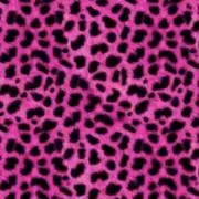 ハンギョドン教の画像