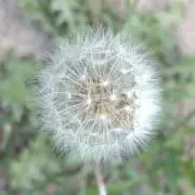 鈴。の画像