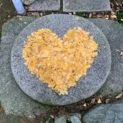 せせの画像