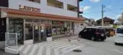 ダリア~プロフ読んでね~