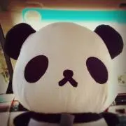 あちゃぱの画像