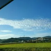 りんすけ☆プロフご一読お願いいたしますの画像