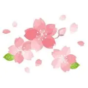 アパレル エル 【最速発送】の画像
