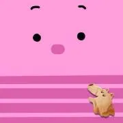 ノンポジ